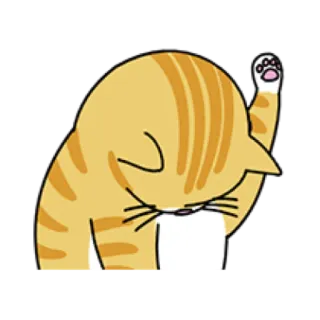 🐈 cat, animal, cute, pet, orange, domestic, feline telegram sticker