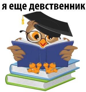 🍰 Я еще девственник coruja, livro, educação, estudante, virgem, nerd whatsapp sticker