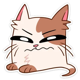 😠 Katze, Aufkleber, niedlich, Tier, Cartoon, kawaii, Haustier telegram sticker
