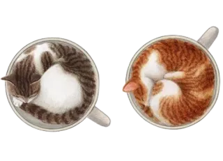 nyangsongi_cat whatsapp stickers