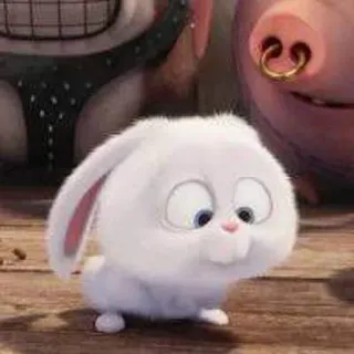 😔 Snowball The Secret Life of Pets boule de neige, lapin, mignon, animal de compagnie, dessin animé, drôle telegram sticker
