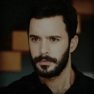 🖇 man, portrait, beard, male, face, person telegram sticker