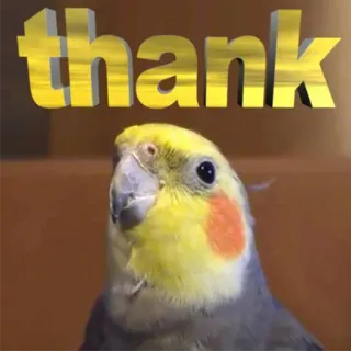 😊 thank oiseau, cockatiel, merci, perroquet, animal telegram sticker