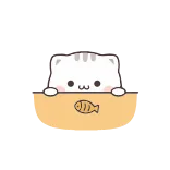 🍪