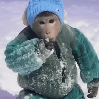 ☃️ monkey, winter, snow, animal, cold, clothing telegram sticker
