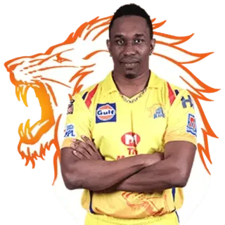 🥳 Cricket, Sport, Spieler, Athlet, Porträt whatsapp sticker