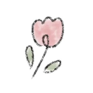 🧃 花, 粉色, 植物, 叶子, 自然, 花卉 whatsapp sticker