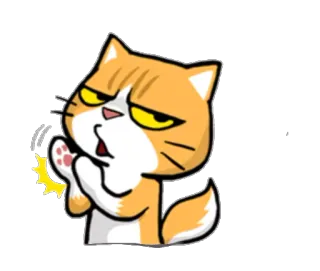 👏 Katze, Klatschen, Tier, Cartoon, Sticker telegram sticker