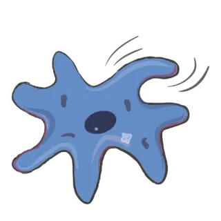 ✋ ameba, biología, ciencia, célula, microorganismo, unicelular, organismo whatsapp sticker