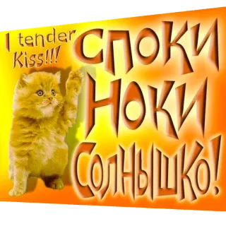 💋 I tender Kiss!!!, споки ноки Солнышко! cat, kitten, kiss, goodnight, russian, animal, cute telegram sticker