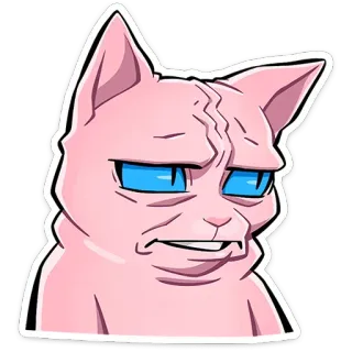 😬 cat, meme, funny, animal, pink, grumpy telegram sticker