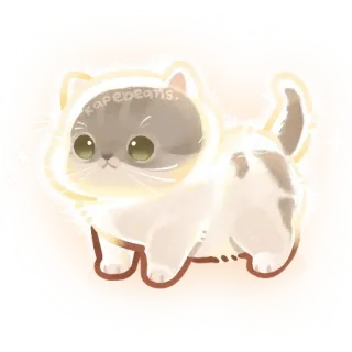 ✨ kapebeans. kucing, anak kucing, imut, kawaii, hewan, hewan peliharaan, kucing domestik whatsapp sticker