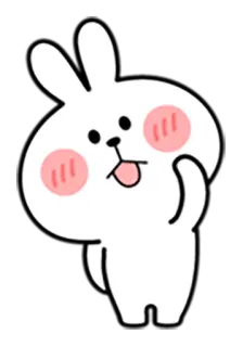 ✌ conejo, lindo, animal, dibujos animados, pegatina, conejo whatsapp sticker