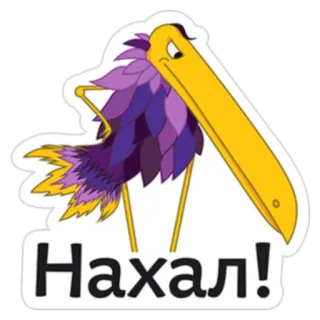 👎 Нахал! vogel, cartoon, slang, grappig, paars, geel telegram sticker
