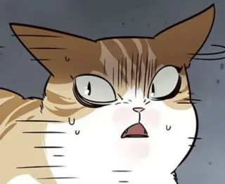🐈 gato, impactado, meme, anime, dibujo animado, expresión telegram sticker
