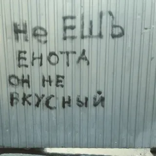 👨‍🎨 Не ешь енота он не вкусный mapache, humor, comida, ruso, no comer telegram sticker
