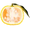🍋