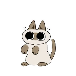 😮 cat, animal, cute, sticker, cartoon, kitten, pet telegram sticker