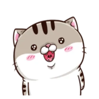😳 cat, animal, cute, sticker, cartoon telegram sticker