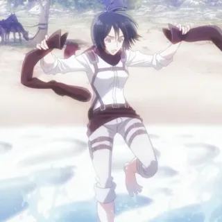 🔖 Mikasa Ackerman Attack on Titan Mikasa, Attack on Titan, anime, soldier, beach, anime girl telegram sticker