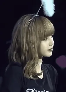🖤 Lisa kpop, lisa, blackpink, chanteuse, idole, musique whatsapp sticker