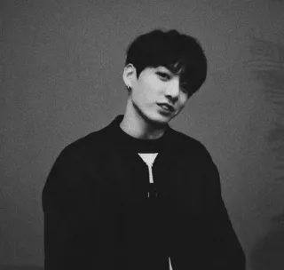 🕊 Jungkook kpop, bts, chanteur, idole, homme, portrait whatsapp sticker