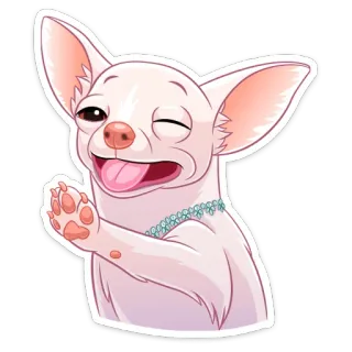 😉 chihuahua, cachorro, animal, animal de estimação, fofo, emoji, adesivo whatsapp sticker