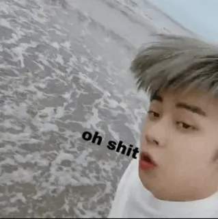 🦊 oh shit Ozean, Wasser, Meme, Lustig, Reaktion, Überraschung telegram sticker