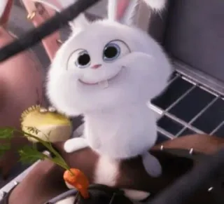 🐰 Snowball The Secret Life of Pets Snowball, coelho, fofo, desenho animado, filme, Pets - A Vida Secreta dos Bichos, animal whatsapp sticker