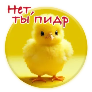 💋 Нет, ты пидар цыпленок, птица, желтый, животное telegram sticker