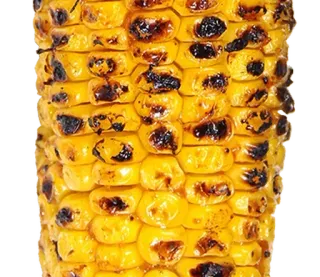 ⚪️ maïs, nourriture, grillé, légume, épi whatsapp sticker