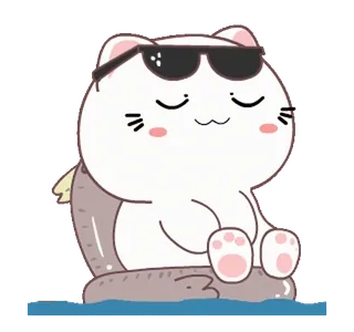 😎 고양이, 선글라스, 멋진, 동물, 만화, 애완 동물 telegram sticker