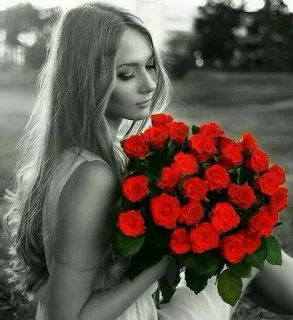 🎶 femme, roses, roses rouges, fleurs, bouquet, portrait, beauté, fille telegram sticker