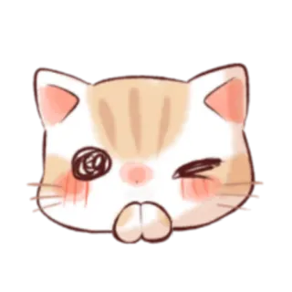 🙊 кот, котёнок, животное, питомец, милый, каваий, подмигивающий whatsapp sticker