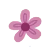 🌺