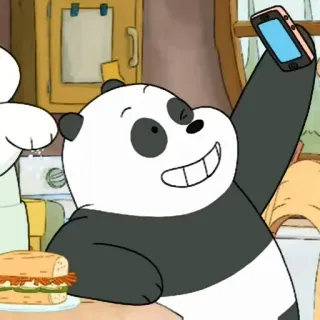💬 Panda We Bare Bears Мультфильм, Панда, Мы обычные медведи, Животное, Медведь, Телефон, Селфи whatsapp sticker