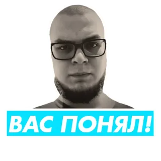 🤨 ВАС ПОНЯЛ! whatsapp sticker