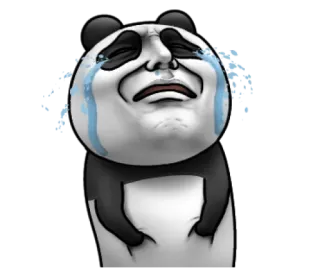 😭 panda, płacz, łzy, smutny, mem, emocje, zwierzę, kreskówka telegram sticker