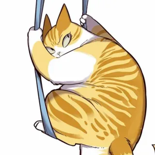 🥜 cat, orange cat, cute, animal, pet telegram sticker