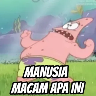 🤡 Patrick Star SpongeBob SquarePants MANUSIA MACAM APA INI patrick star, spongebob, cartoon, funny, meme telegram sticker