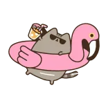 😎