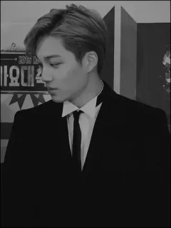 🌑 男人, 西装, 韩流, EXO, 肖像, 歌手 telegram sticker