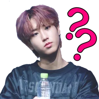 ❓ kpop, persona, pregunta, sticker whatsapp sticker