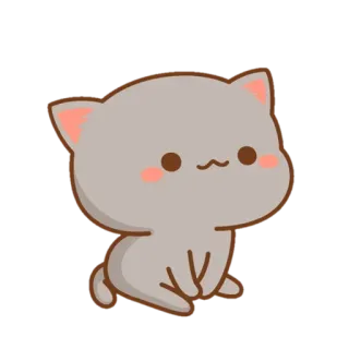 ✨ mèo, dễ thương, động vật, thú cưng, mèo con, hoạt hình telegram sticker