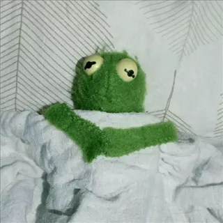 😠 Kermit the Frog Kermit, rana, burattino, meme, dormire whatsapp sticker