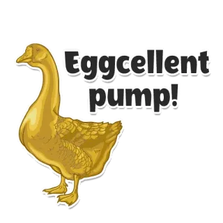 👊 Eggcellent pump! 거위, 황금 거위, 달걀, 최고, 펌프, 새, 동물 telegram sticker