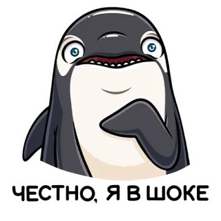 😳 ЧЕСТНО, Я В ШОКЕ 범고래, 고래, 충격, 놀람, 만화, 동물 telegram sticker