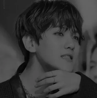 🇦🇹 man, portrait, person, face, celebrity, kpop telegram sticker