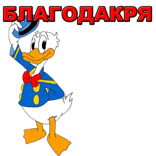 ☺️ Donald Duck БЛАГОДАКРЯ Dibujo animado, Pato, Saludo, Amabilidad, Animado whatsapp sticker