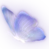 𝑰𝒈𝒓𝒊𝒔 𝑷𝒓𝒆𝒎𝒊𝒖𝒎 𝑬𝒎𝒐𝒋𝒊'𝒔 @love_essel @TgEmojis_bot telegram emojis 🦋